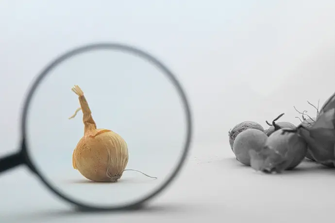 screening and evaluating them