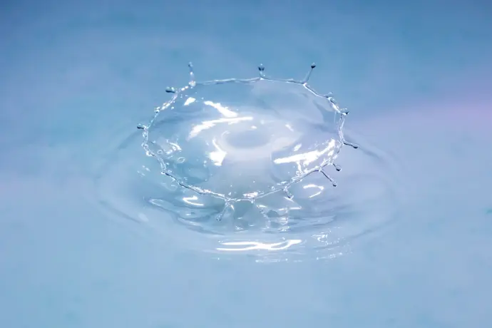 Transparent Pricing &amp; Process